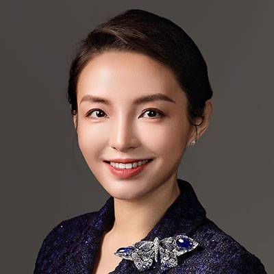 Dr. Mengyu Lu